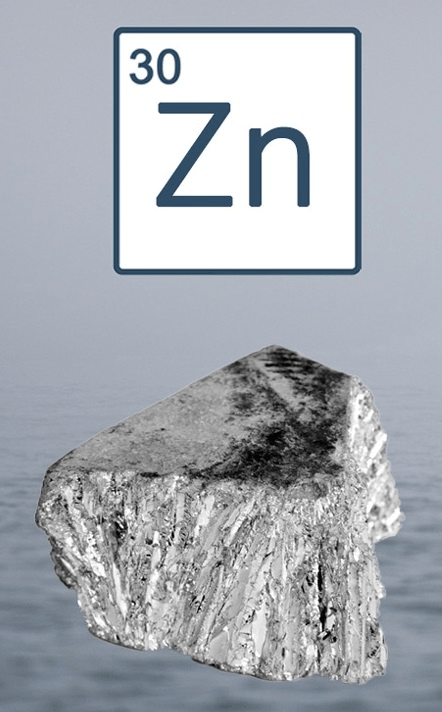 Anodes en zinc (Zn 99,995)